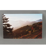 Vintage Postcard - Lillian River Canyon Olympic National Park - National... - $20.37 CAD