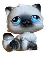 Littlest pet shop #60 Black And White Persian Kitten Cat Blue Eyes LPS - £7.87 GBP