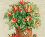 Riolis Counted Cross Stitch Pepper Pot, Multicoloured - $19.80