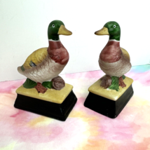 Vintage 2 Porcelain Bisque Mallard Duck Figurines On Rectangle Pedestal - $9.89