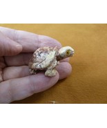 Y-TUR-LA-51) red tan Tortoise land turtle SOAPSTONE FIGURINE love little... - $11.78 CAD