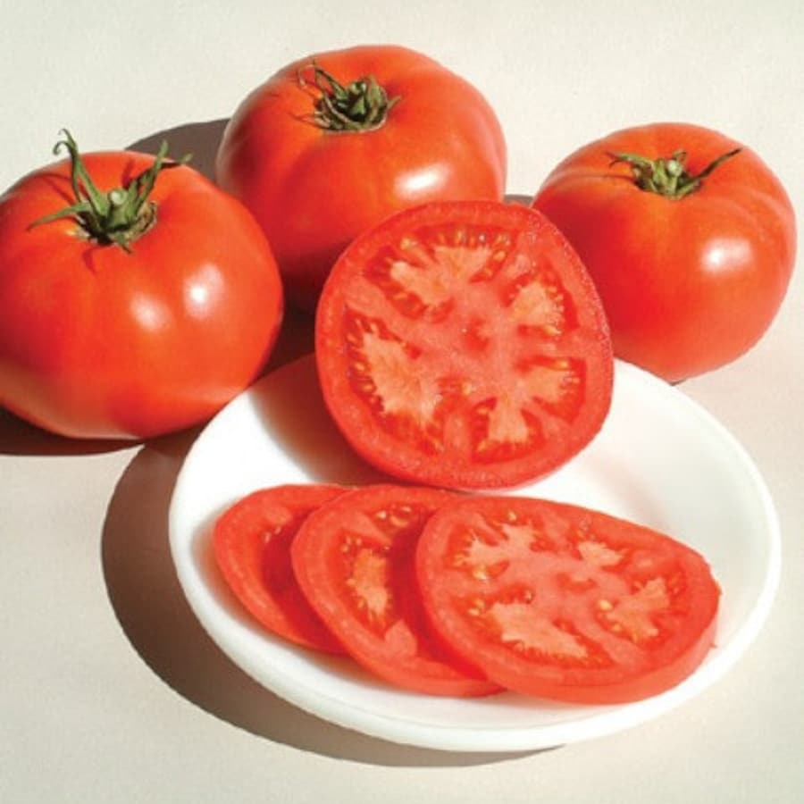 Nepal Tomato Naturally Grown Fresh Gardening - $16.52