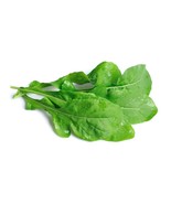 2000 Roquette Arugula Rocket Rucola Rugula Eruca Vegetable Bulk Seeds - €10,19 EUR