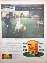 Vintage 1956 Vigoro Lawn Food Print Ad Couple in Yard - £4.10 GBP