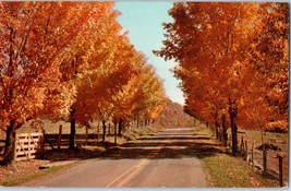 Greetings from Pine Bush New York Fall Along the Highway Postcard - £4.05 GBP