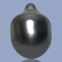 Teardrop 12.8x 17mm 17.6 Carat Tahitian South Sea Natural Black Gray Green Pearl - £59.34 GBP