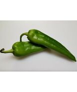 Rattlesnake Chili Pepper, NuMex Chile, Hatch, Spicy, FREE SHIPPING - €1,62 EUR+