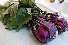 Kohlrabi Purple Vienna Great Heirloom Vegetable 500 Seeds - £6.29 GBP