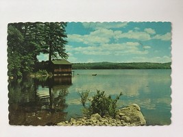 ✍️ Collectible Postcard Posted w/STAMP ✉️ 1984 Maine Vacationland Usa - £1.90 GBP