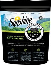 Sunshine Black Bear 8qt - $28.23 CAD