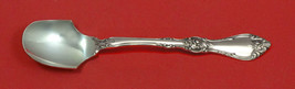 Royal Rose by Wallace Sterling Silver Cheese Scoop 5 3/4&quot; Custom Made - £53.97 GBP