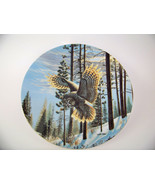 Bradford Exchange - Owl Collector Plate -”Evening Glimmer”- Cynthie Fisher - £15.96 GBP