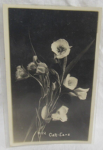 AZO 1922 1926 Real Photo Postcard Cat Ears #42 Flower Bloom False Dandelion RPPC - £2.32 GBP