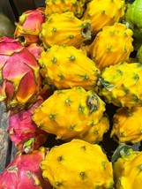 Yellow Dragon Fruit - Hylocereus megalanthus - 5+ seeds - Gx 087 - £1.58 GBP