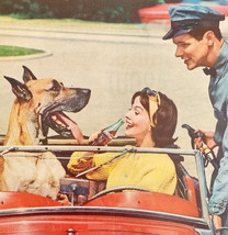 1960 Coke Coca Cola Soda Advertisement Beverage Pop Vintage Great Dane D... - $29.99