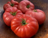 50 Seeds Mrs. Maxwell&#39;S Big Italian Tomato Vegetable Garden - £7.75 GBP