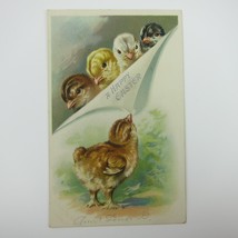 Easter Postcard 5 Chicks Brown Yellow White Black Raphael Tuck Embossed Antique - £7.89 GBP