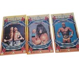 Ultimate Warrior Hulk Bushwhacker WWF Superstars Honeycomb Wrestling Pos... - $79.15
