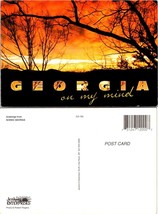 Georgia Beautiful Orange Sunset Weeping Trees Cloudy Skies VTG Postcard - £7.51 GBP