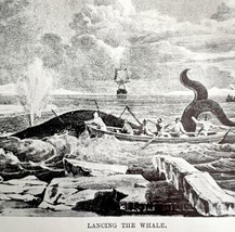 Lancing The Whale At Sea 1926 Nautical Antique Print Whale Hunting DWW4A - £19.60 GBP