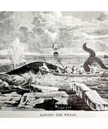 Lancing The Whale At Sea 1926 Nautical Antique Print Whale Hunting DWW4A - £19.74 GBP