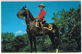Canada Postcard RCMP Royal Canadian Mounted Police On Horse Trees - £2.36 GBP