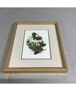 Floral Mayflower Bioprint In Frame By Suzanne Craig - 10.75.8.75” - $363.02 MXN