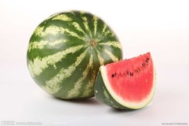 1 Pack 50 Watermelon Seeds Water Melon Citrullus Lanatus Organic - $74.35 MXN