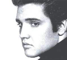 Counted Cross Stitch pattern elvis presley embroidery 137*149 stitches BN108 - £3.18 GBP