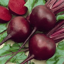 Detroit Dark Red Beet Seeds NON-GMO Fresh Garden Harvest 200 Seeds - £3.15 GBP