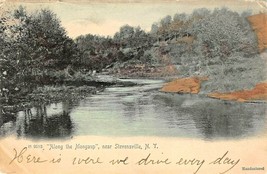 STEVENSVILLE NY~ON THE MONGAUP RIVER~1905 ROTOGRAPH TINTED PHOTO POSTCARD - $8.17