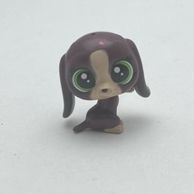 Littlest Vet Pet Shop BREE #255 Basset Hound Beagle Puppy Dog Green Eye LPS Doll - £4.32 GBP