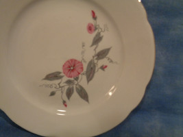 Kahla Germany Salad Plate Pink Morning Glory 7 1/4&quot;  -- Rare - £7.83 GBP