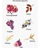  Custom Seven Species Egypt, Soap &amp; Oil Pomegranate Sets, Barley, Grapes... - $7.99