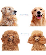2-Side Pet Grooming Brush Dog Cat Deshedding Dematting Tool Undercoat Ra... - $9.51 CAD+