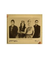 Hoodoo Gurus Press Kit And Photo  Kinky The - $37.03 CAD