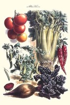 Item image 1 image 1