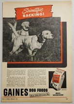 1949 Print Ad Gaines Meal Dog Food Hunting Dogs Bird Pointing General Foods - £9.39 GBP