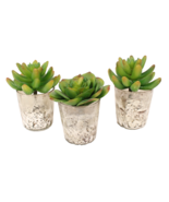 Set Of 3 Garden Faux Succulents Small Mirrored Glass Pot Fake Artificial... - $8.99