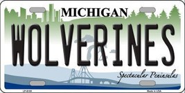 Michigan Wolverines Metal Novelty License Plate LP-6108 - $18.95