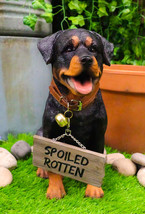 Guest Welcome Realistic Rottweiler Dog With Jingle Collar Sign Decor Sta... - $55.95