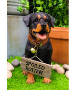Guest Welcome Realistic Rottweiler Dog With Jingle Collar Sign Decor Sta... - $76.48 CAD
