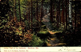 Indian Trail At The Oaklands Forest Gardiner Maine ME 1906 UDB Postcard BK58 - £4.76 GBP