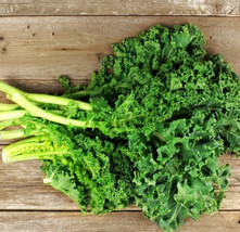 US Seller 500 Seeds Kale Dwarf Siberian Cool Weather Microgreens Healthy - £8.08 GBP