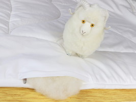 All Season Wool Comforter, Washable, 100% Natural - £115.10 GBP