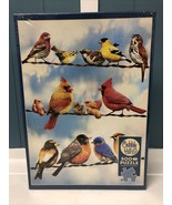 Cobblehill 85034 500 pc Birds on a Wire Puzzle NEW Sealed W/ Poster - £13.15 GBP