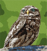 Pepita Needlepoint kit: Owl, 9&quot; x 10&quot; - $78.00+