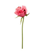 Pink Rose Bud W/Bendable Stem 2.5 X 7.5 Inches - £14.77 GBP