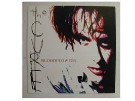 Il Cure Poster Piatto - $17.78