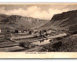 Birds Eye View Palisade Nevada NV UNP UDB Postcard V4 - $14.80